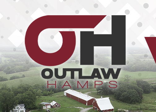 Outlaw Hamps